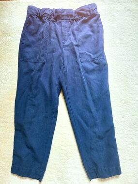 Banana Republic Navy Twill Pants
